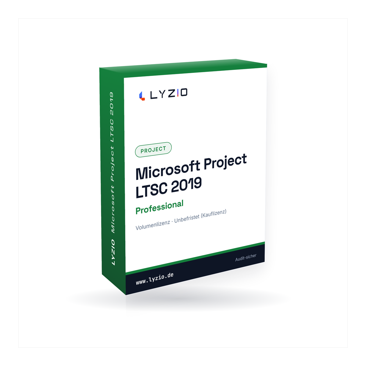 Microsoft Project 2019 Professional