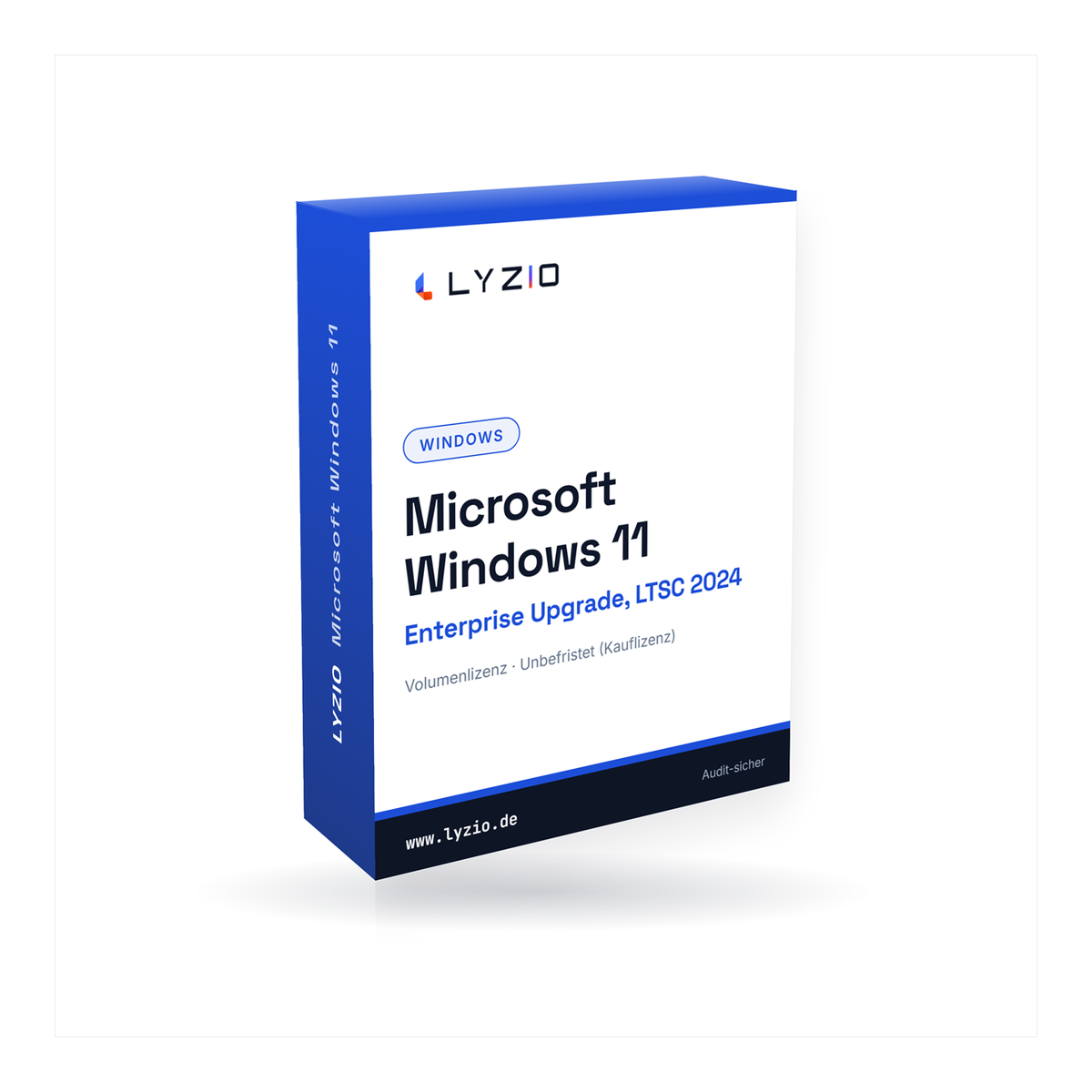 Microsoft Windows 11 Enterprise Upgrade, LTSC 2024